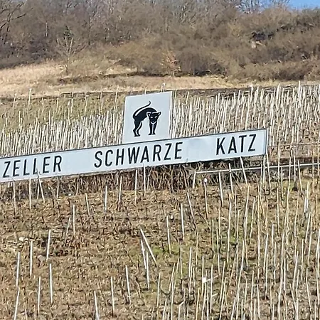 Siemens Mosel * Zell an der Mosel